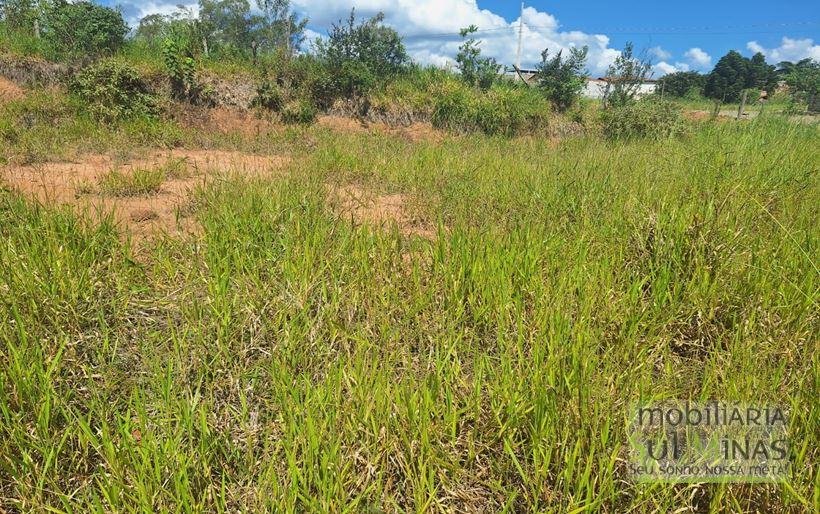 Lote plano em bairro novo a venda em Cambui MG Cod. 1948 (1)