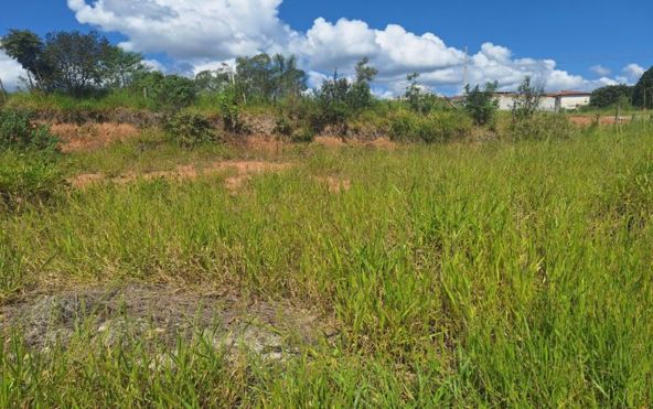 Lote plano em bairro novo a venda em Cambui MG Cod. 1948 (3)
