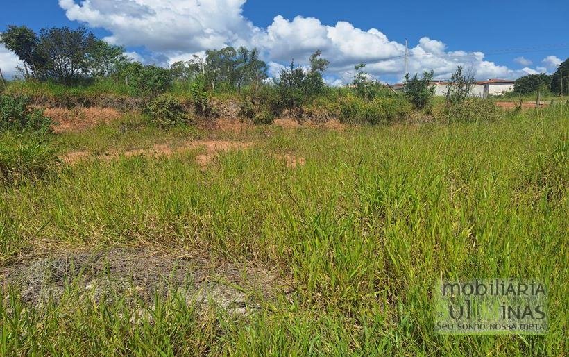 Lote plano em bairro novo a venda em Cambui MG Cod. 1948 (3)