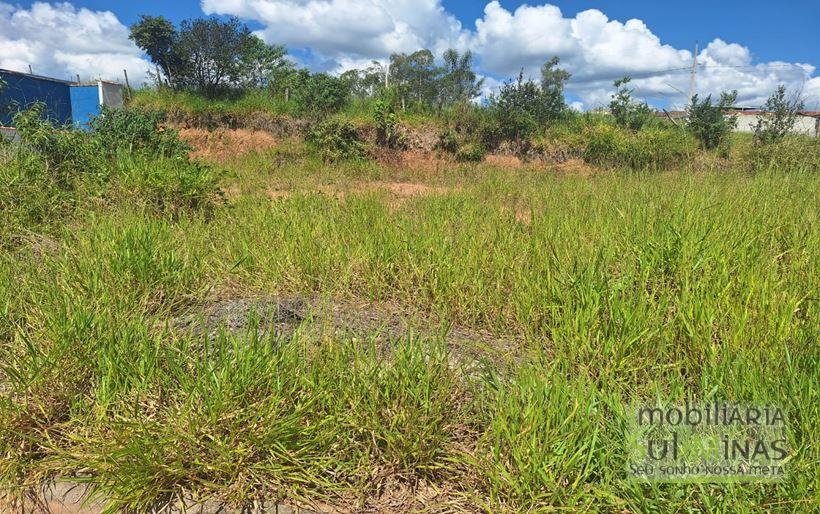 Lote plano em bairro novo a venda em Cambui MG Cod. 1948 (4)