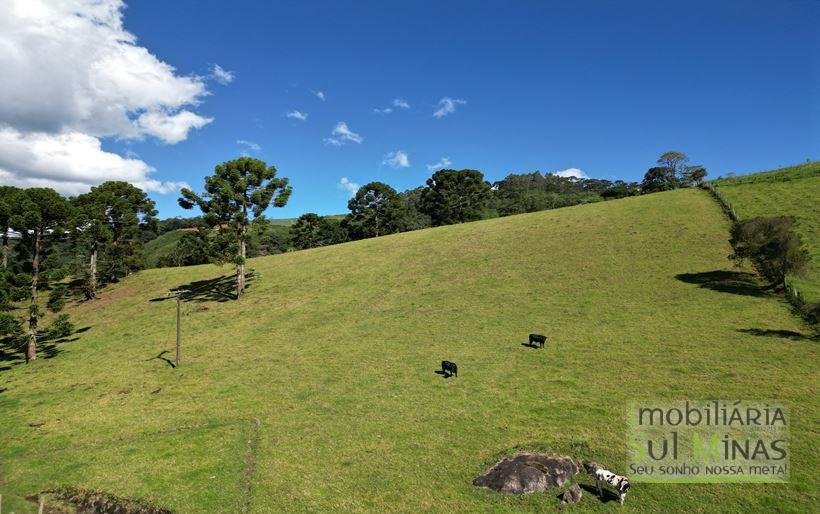 Excelente terreno a 5 km da pedra são domingos a venda em Paraisópolis. Cod. 1957 (16)