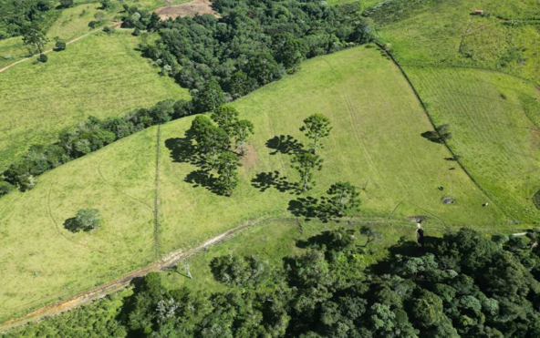 Excelente terreno a 5 km da pedra são domingos a venda em Paraisópolis. Cod. 1957 (20)