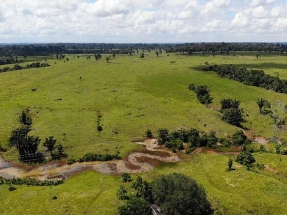 Fazenda a Venda Porteira fechada em Extrema Porto Velho RO Cód. 1968 (17)