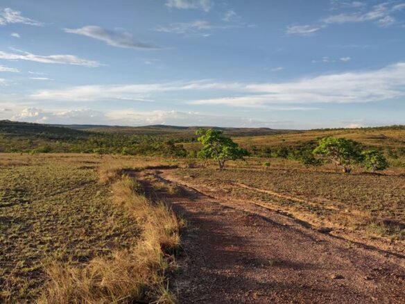 Fazenda a Venda na região de Arinos MG Cód. 1967 (12)