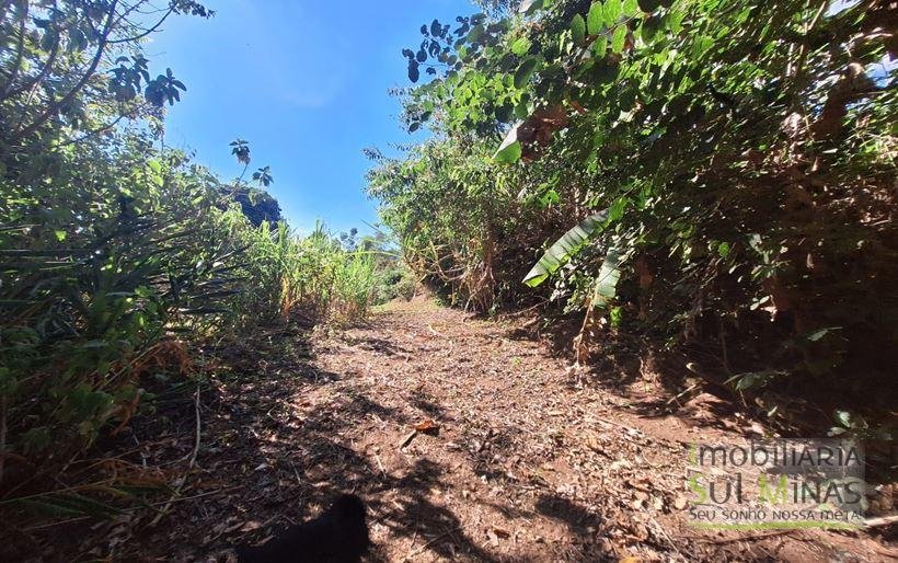 Terreno com Água a Venda no Córrego do Bom Jesus MG Cód. 1604 (1)