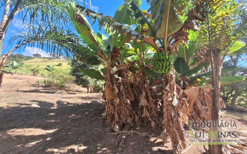 Terreno com Água a Venda no Córrego do Bom Jesus MG Cód. 1604 (3)