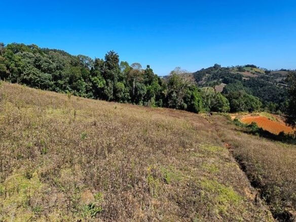 Terreno de 1 Alqueire à Venda em Camanducaia MG (2)
