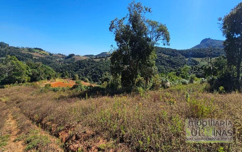 Terreno de 1 Alqueire à Venda em Camanducaia MG (3)