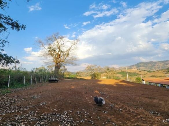 Terreno de 1000 m² á Venda em Cambuí MG Cód. 1969 (9)