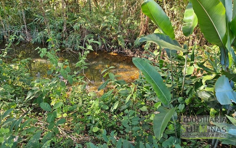 Pousada em Estiva MG com 2 hectares Cód. 1566 (27)