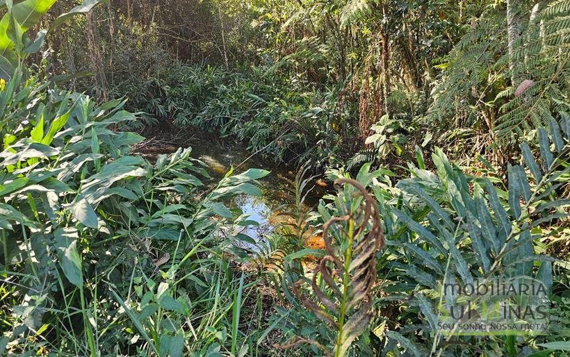 Pousada em Estiva MG com 2 hectares Cód. 1566 (30)