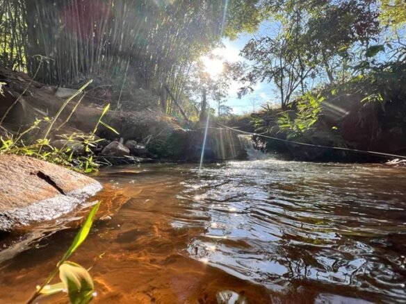 Sítio com cachoeira à Venda no Sul de Minas Cód. 1975 (48)