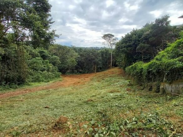 Terreno Urbano com excelente localização à Venda em Monte Verde MG Cód. 1978 (7)