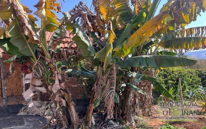 Chácara de 1.000m² com escritura registrada à Venda em Cambuí MG(31)