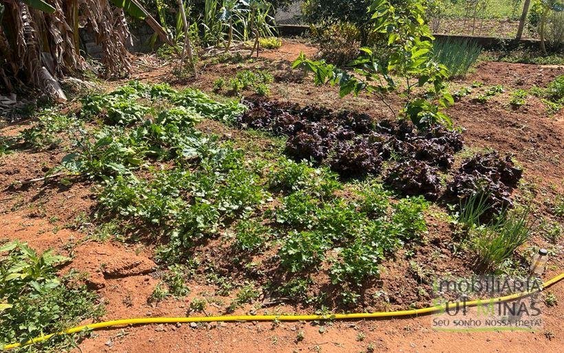 Chácara de 1.000m² com escritura registrada à Venda em Cambuí MG(33)