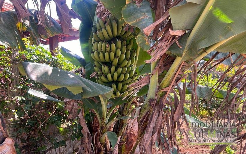 Chácara de 1.000m² com escritura registrada à Venda em Cambuí MG(35)