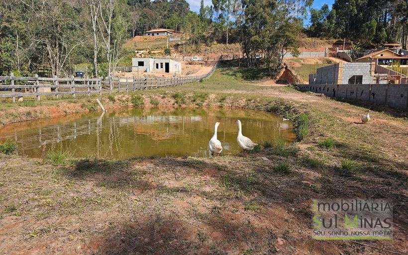 Terreno de 2300m² com tanque de peixe à Venda em Camanducaia MG Cód. 2010 (12)