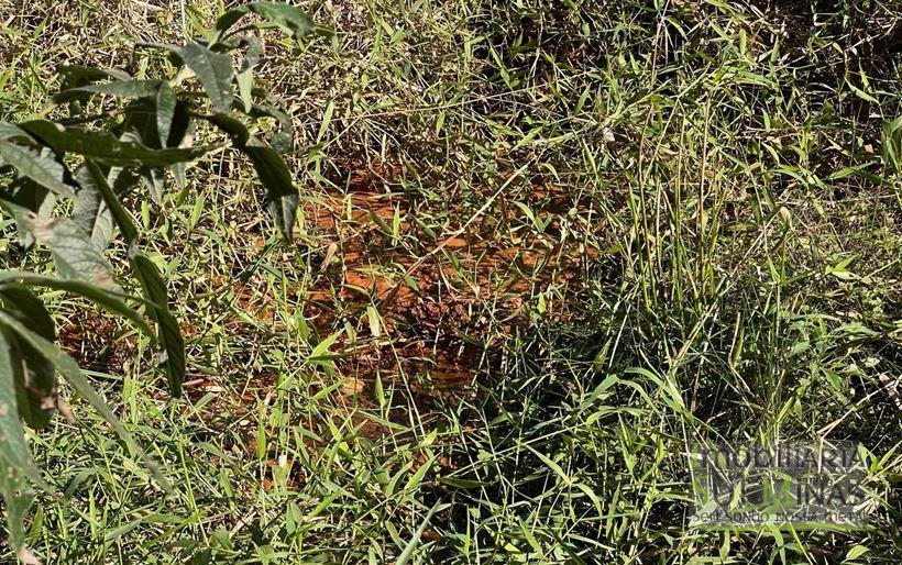 Terrenos à Venda em Cambuí MG Cód. 2009 (1)