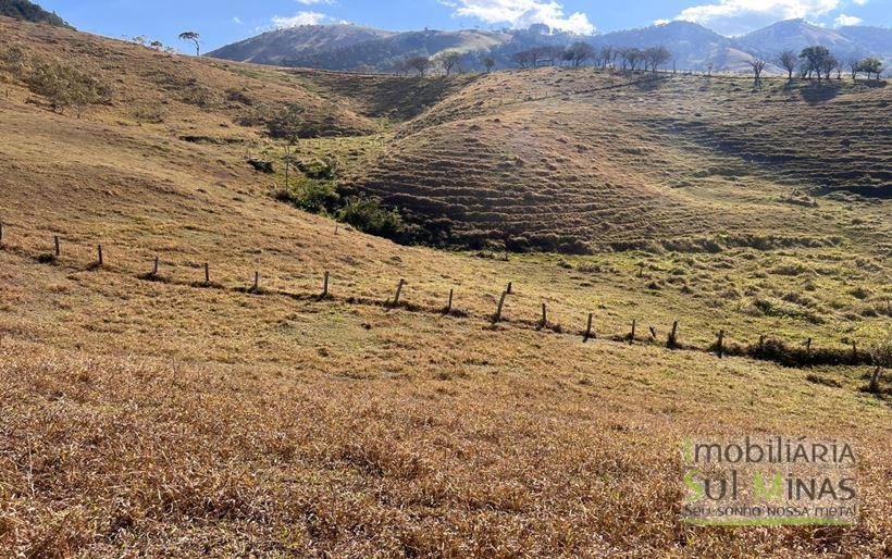 Terrenos à Venda em Cambuí MG Cód. 2009 (12)