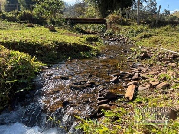 Terrenos à Venda em Cambuí MG Cód. 2009 (20)