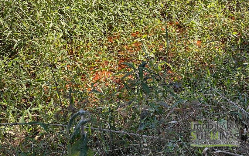 Terrenos à Venda em Cambuí MG Cód. 2009 (6)