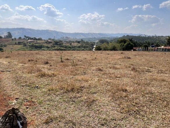 Terreno Industrial de 14.047m² com ótima topografia e aproveitamento à Venda Cód. 2038 (5)