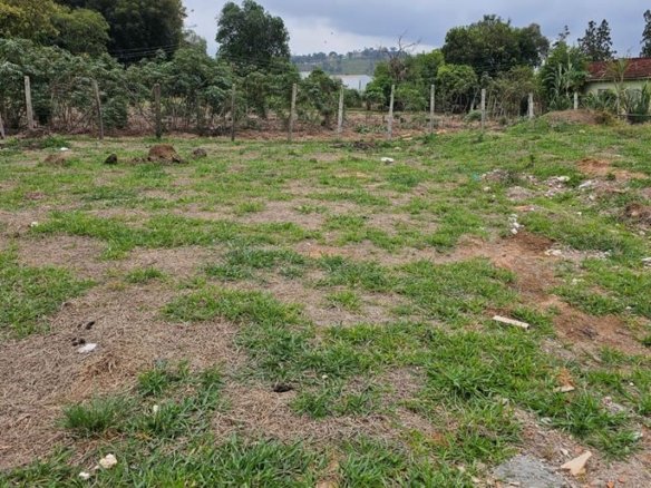 Lote plano de 125 m² à Venda em Cambuí MG Cód. 1999 (2)