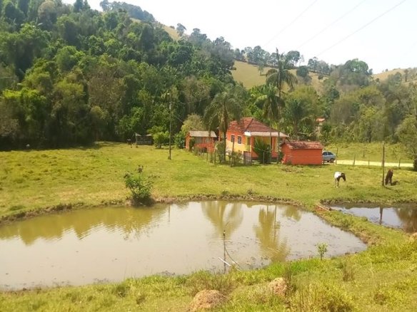 Chácara de 15.800 m² com muita água em Pouso Alegre MG Cód. 2058 (13)