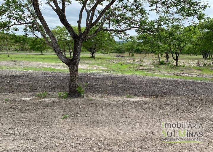 Fazenda com 1033 hectares em Engenheiro Dolabella MG Cód. 2072 (10)