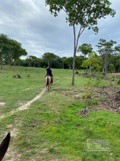 Fazenda com 1033 hectares em Engenheiro Dolabella MG Cód. 2072 (12)