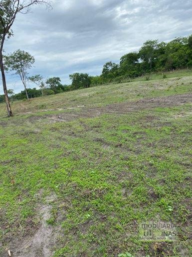 Fazenda com 1033 hectares em Engenheiro Dolabella MG Cód. 2072 (14)