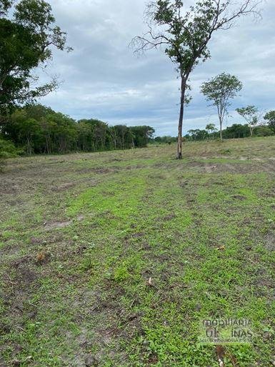 Fazenda com 1033 hectares em Engenheiro Dolabella MG Cód. 2072 (15)