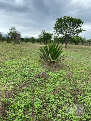 Fazenda com 1033 hectares em Engenheiro Dolabella MG Cód. 2072 (16)