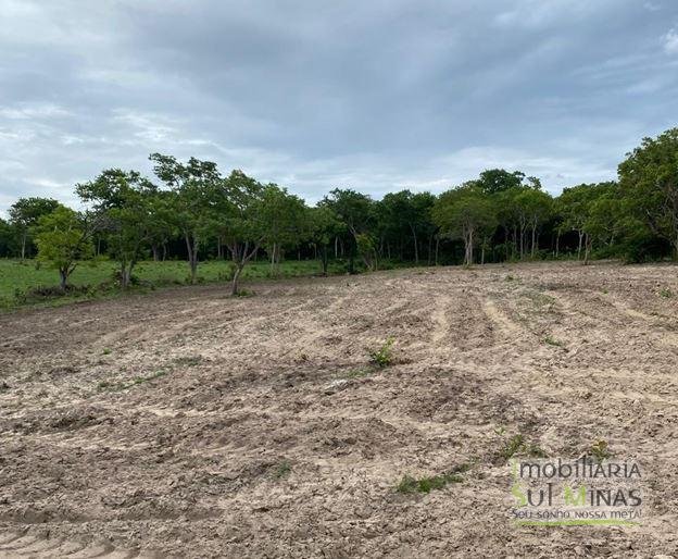 Fazenda com 1033 hectares em Engenheiro Dolabella MG Cód. 2072 (19)