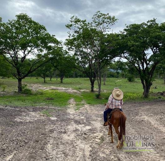 Fazenda com 1033 hectares em Engenheiro Dolabella MG Cód. 2072 (3)