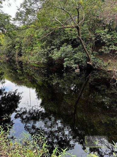 Fazenda com 1033 hectares em Engenheiro Dolabella MG Cód. 2072 (4)