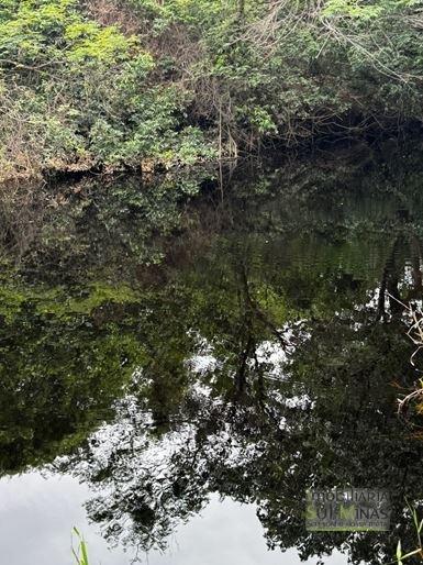 Fazenda com 1033 hectares em Engenheiro Dolabella MG Cód. 2072 (5)