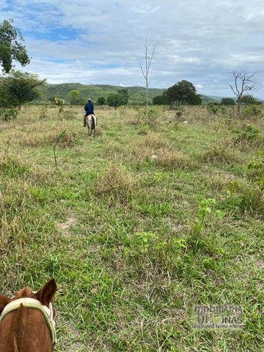 Fazenda com 1033 hectares em Engenheiro Dolabella MG Cód. 2072 (6)