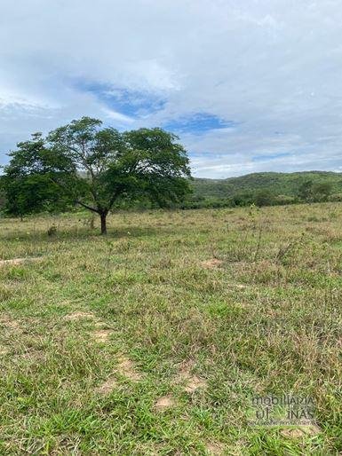 Fazenda com 1033 hectares em Engenheiro Dolabella MG Cód. 2072 (7)