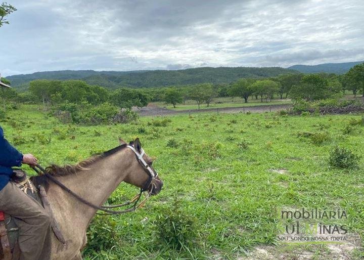 Fazenda com 1033 hectares em Engenheiro Dolabella MG Cód. 2072 (9)