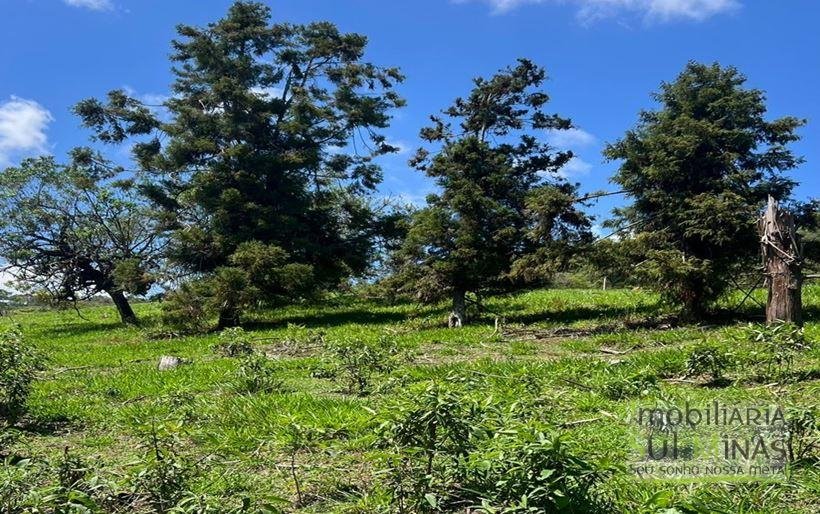 Terreno de 29.464m² à Venda em Camanducaia MG Cód. 2053 (11)