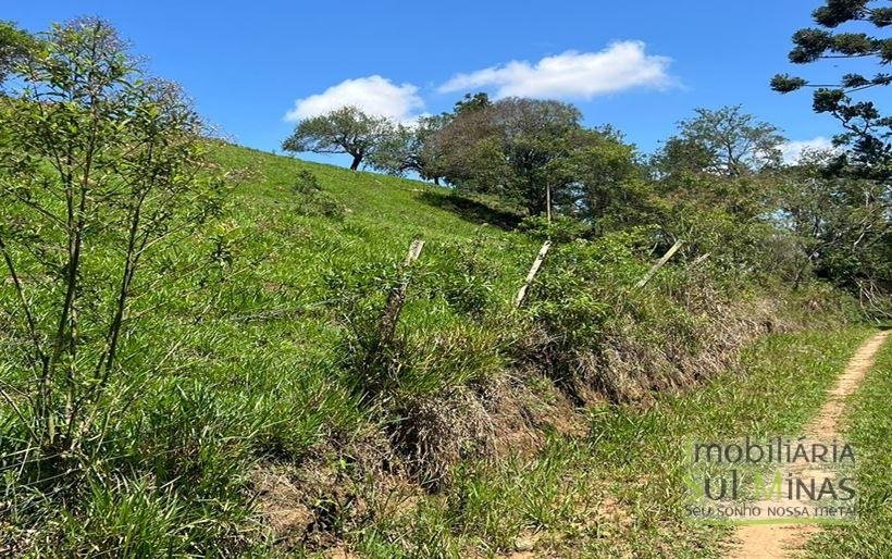 Terreno de 29.464m² à Venda em Camanducaia MG Cód. 2053 (13)