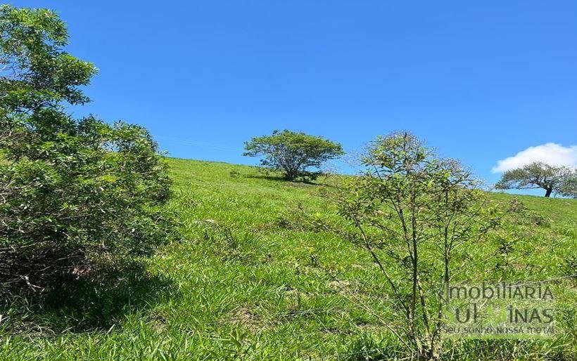 Terreno de 29.464m² à Venda em Camanducaia MG Cód. 2053 (14)