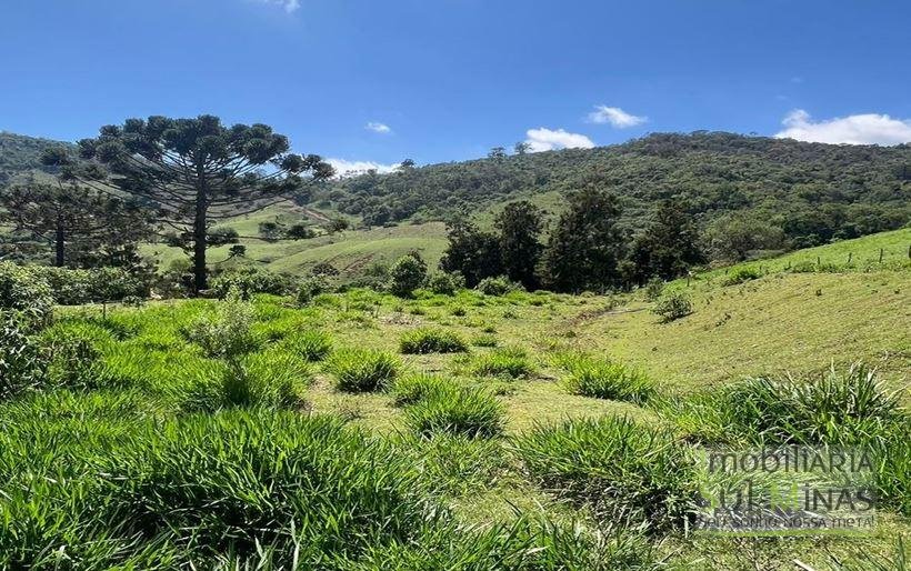 Terreno de 29.464m² à Venda em Camanducaia MG Cód. 2053 (6)