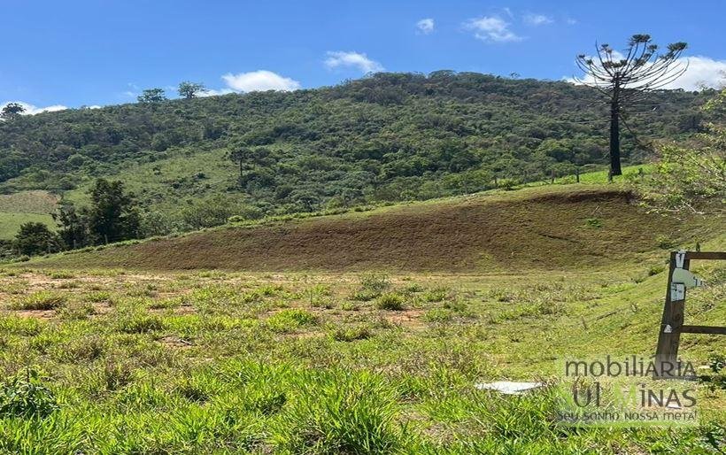 Terreno de 29.464m² à Venda em Camanducaia MG Cód. 2053 (8)