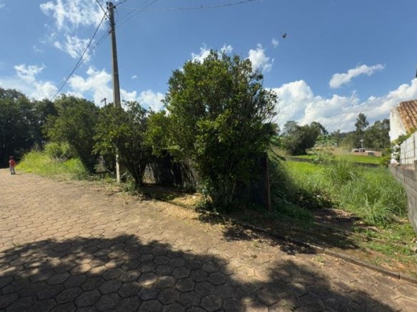 Lote plano todo murado de 200 m² à Venda em Cambuí MG Cód. 2080 (6)