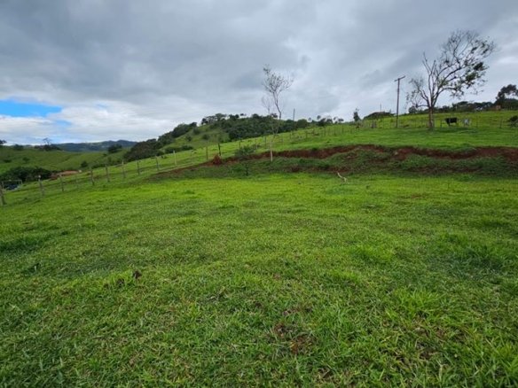 Terreno de 3500m² a 3km da cidade à Venda em Cambuí MG Cód. 2077 (9)