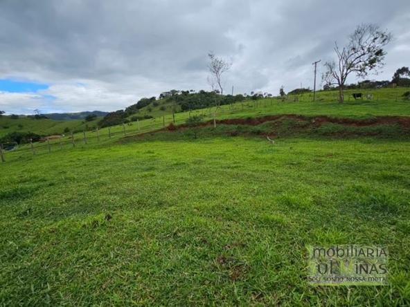 Terreno de 3500m² a 3km da cidade à Venda em Cambuí MG Cód. 2077 (9)