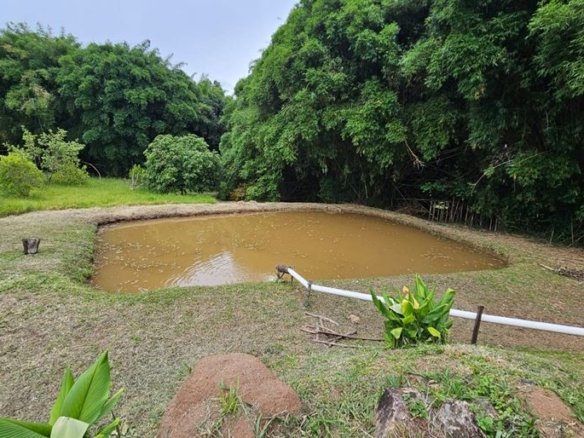 Chácara de 5000m² com Escritura à Venda no Córrego do Bom Jesus MG Cód. 2101 (16)