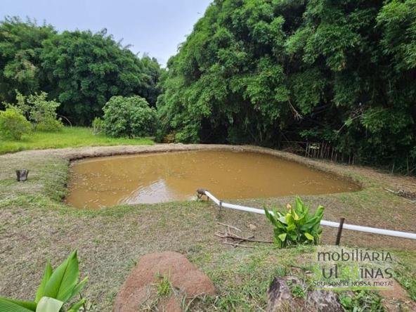 Chácara de 5000m² com Escritura à Venda no Córrego do Bom Jesus MG Cód. 2101 (16)